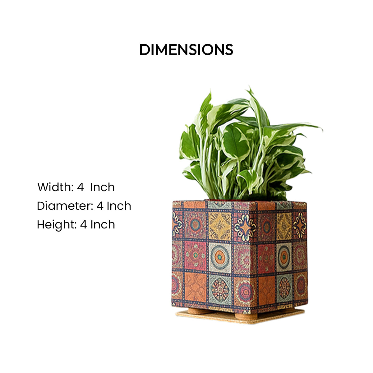 Mandala print cork planter dimensions by Cork Essentials
