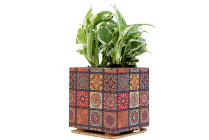 Mandala print cork planter with plant by Cork Essentials