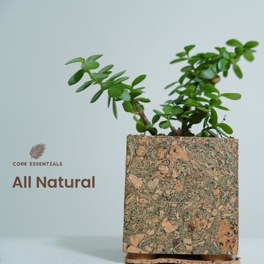 Cork Essentials all natural cork planter with plant