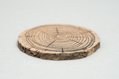 Cork Essentials angled tree ring cork piece