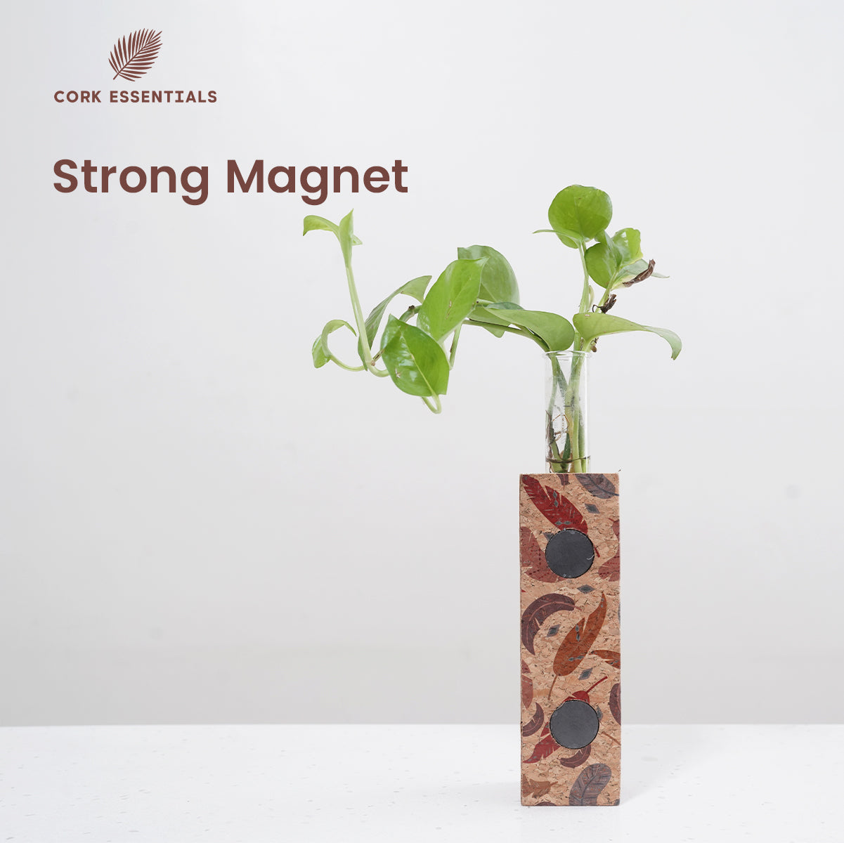 Cork Essentials strong magnet feather test tube planter